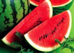 小瓜吃瓜娱乐,揭秘娱乐圈幕后故事，带你领略明星真实生活