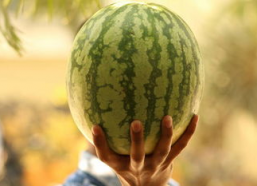 2021年娱乐圈吃瓜