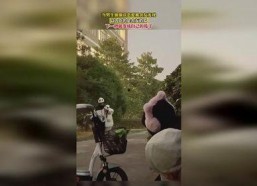 娱乐吃瓜酱男孩子恋爱脑,娱乐吃瓜酱的甜蜜蜕变之旅