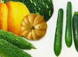 娱乐吃瓜种类,盘点热门事件，揭秘明星幕后故事