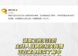 娱乐圈吃瓜帖子大全,吃瓜帖子大全深度解读