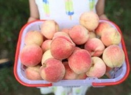 每日大赛吃瓜网直达,揭秘精彩赛事幕后故事