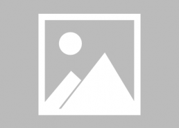 娱乐吃瓜君赚钱小说,揭秘网络小说界的财富密码