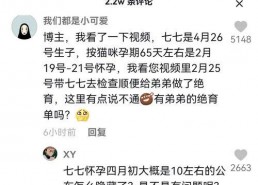 抖音吃瓜娱乐博主,带你领略网络红人的魅力与争议