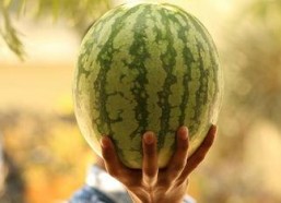 2021娱乐圈吃瓜不断,瓜田李下，明星风云录